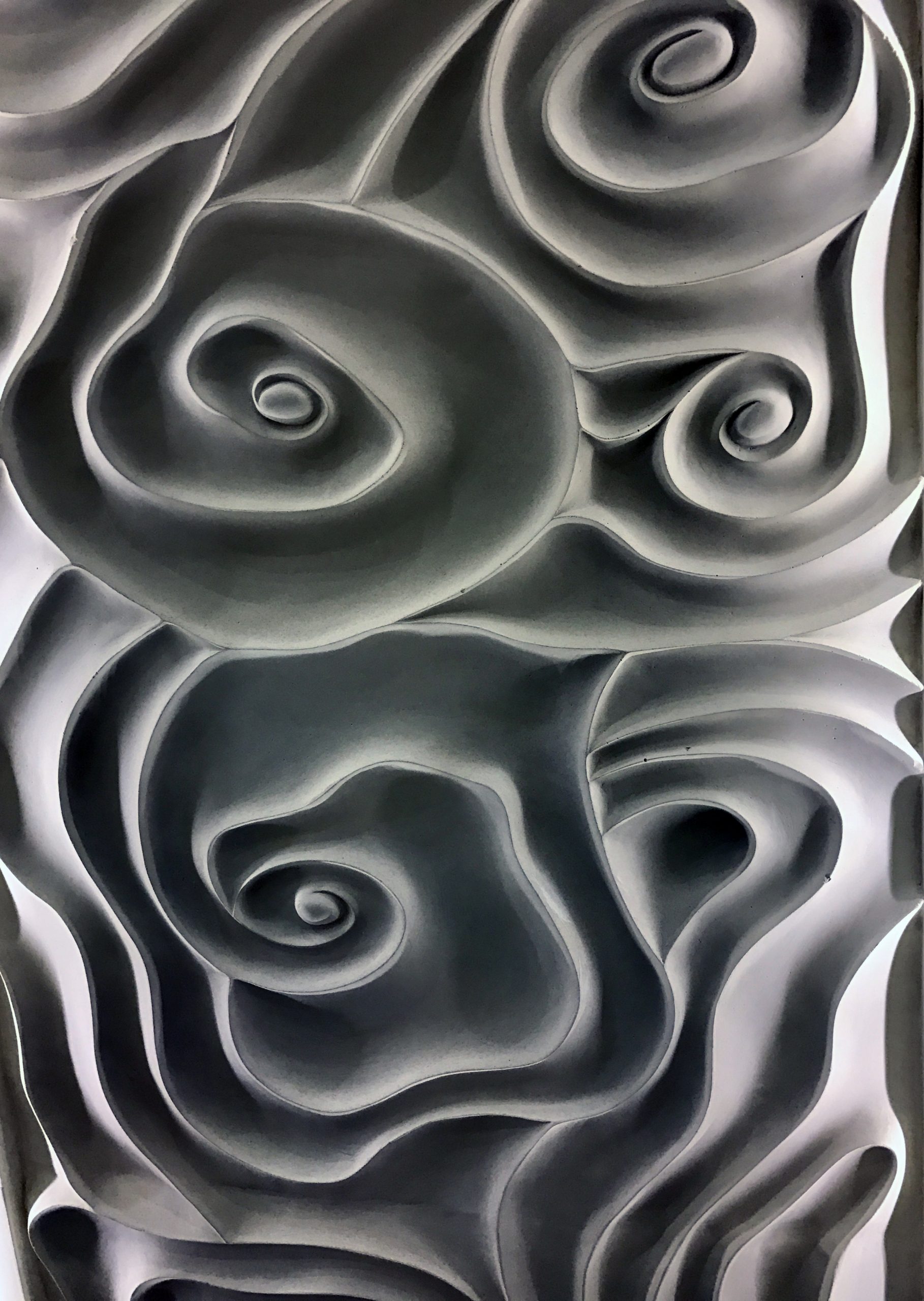 Abstract swirling organic forms in black and white